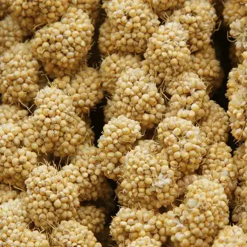 Higgins Spray Millet Bird Treats 12-Count Non-GMO Natural Foraging All Birds